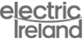 logo - Electric Ireland